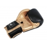 Kanong Kids Thai Boxing Gloves : Thai Power Black/Gold